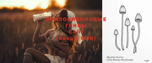 spice Алексеевка