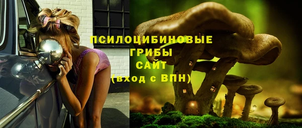 спайс Рославль