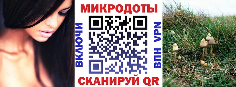 Галлюциногенные грибы Cubensis  Нефтегорск 