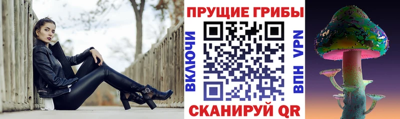Галлюциногенные грибы Psilocybe Нефтегорск